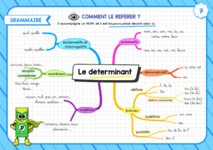 Carte mentale grammaire le déterminant