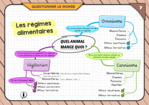 Carte mentales sciences - Quel animal mange quoi ?